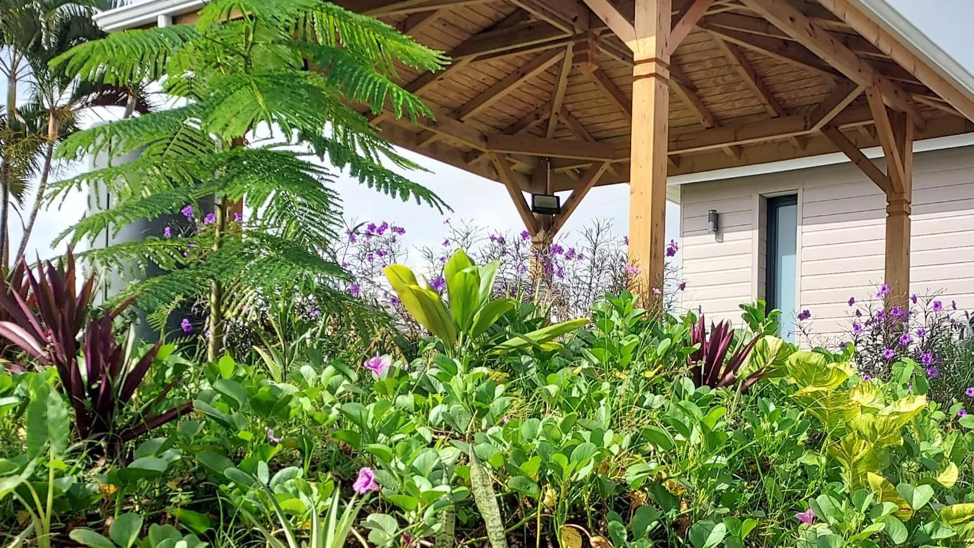 Bed & Breakfast Le Petit Paradis Sainte-Rose Guadeloupe