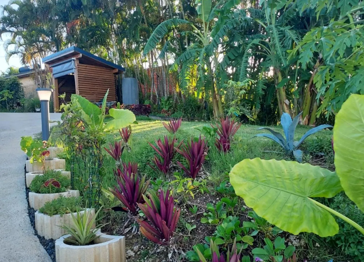 Le Petit Paradis Sainte-Rose 0*,  Guadeloupe