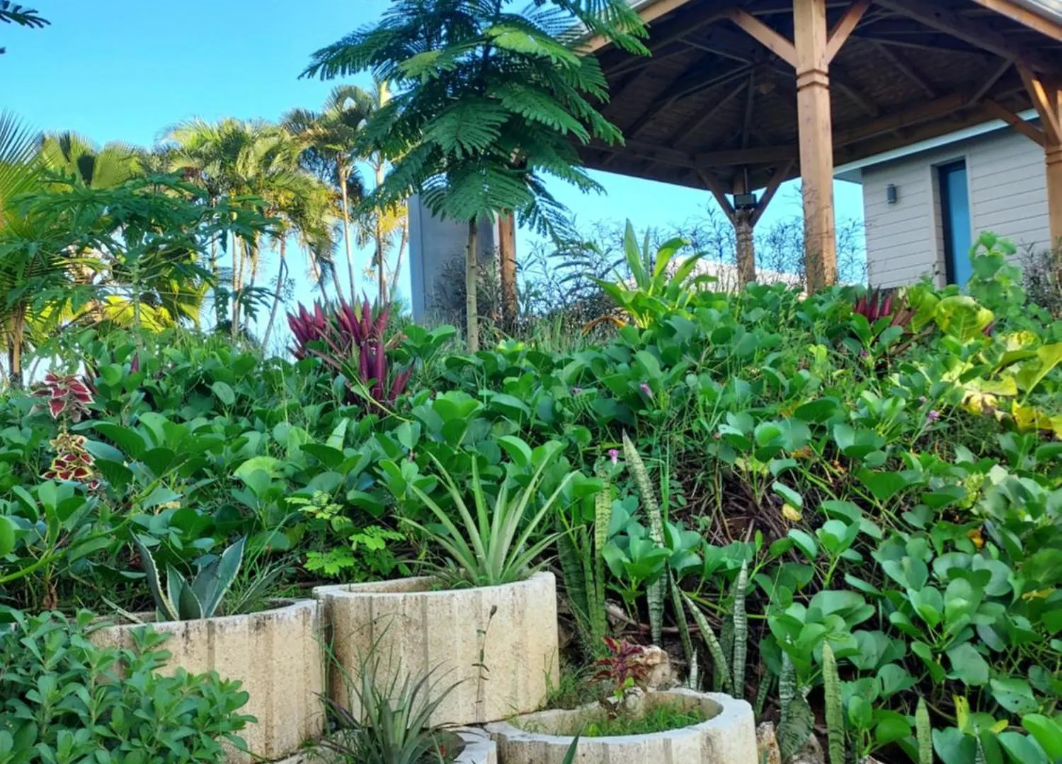 Le Petit Paradis Sainte-Rose 0*,  Guadeloupe