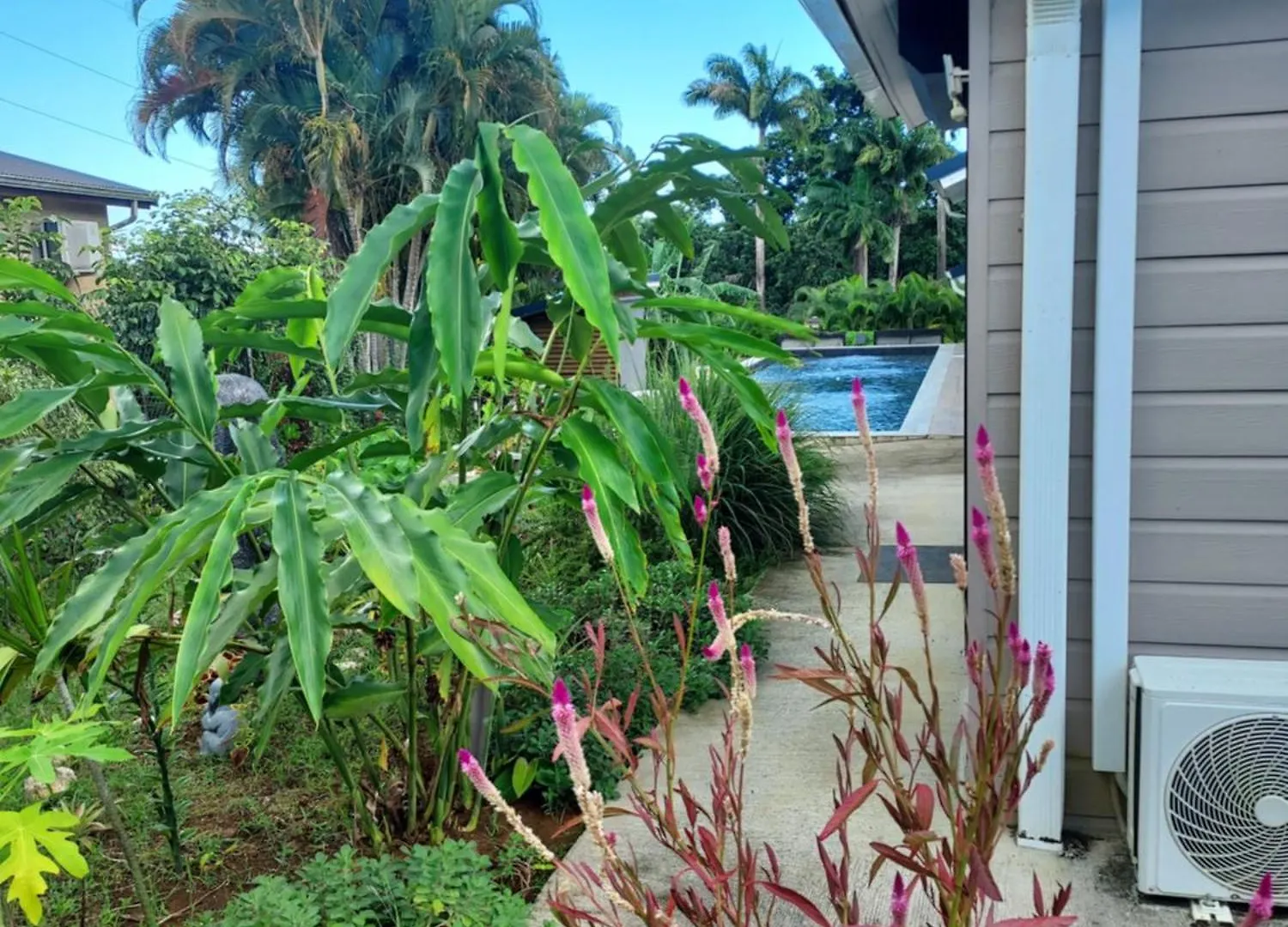 Couette-café Le Petit Paradis Sainte-Rose Guadeloupe